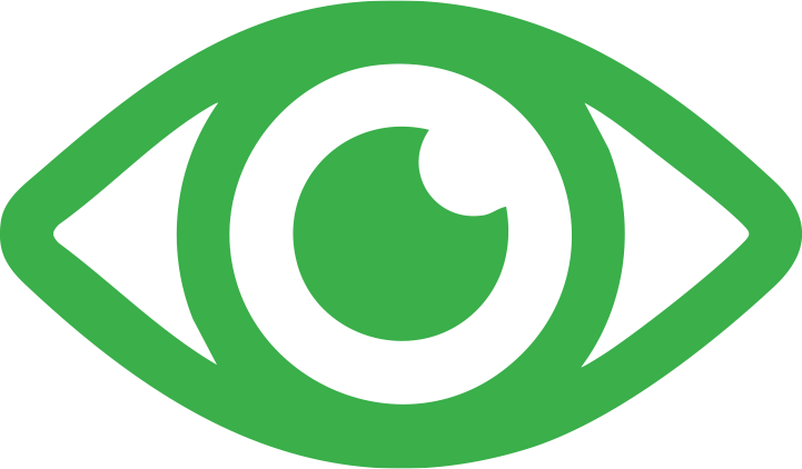 Vision Icon