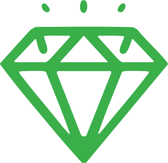 Why Choose Us Icon